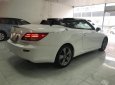 Lexus IS 250C 2011 - Bán Lexus IS 250C đời 2011, màu trắng, nhập khẩu