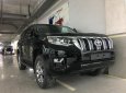 Toyota Land Cruiser Prado 2018 - Bán ô tô Toyota Prado Prado 2018 sản xuất 2018, màu đen, nhập khẩu