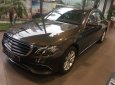 Mercedes-Benz E class E200 2018 - Bán xe Mercedes E200 đời 2018, màu nâu