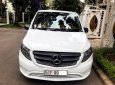 Mercedes-Benz Vito 2017 - Cần bán Mercedes đời 2017, nhập khẩu nguyên chiếc, xe gia đình