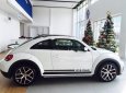 Volkswagen Beetle 2018 - Bán Volkswagen Beetle đời 2018, màu trắng, xe nhập