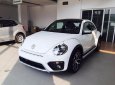 Volkswagen Beetle 2018 - Bán Volkswagen Beetle đời 2018, màu trắng, xe nhập