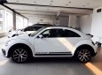 Volkswagen Beetle 2018 - Bán Volkswagen Beetle đời 2018, màu trắng, xe nhập