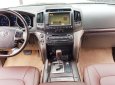 Toyota Land Cruiser 5.7   2009 - Bán Toyota Land Cruiser 5.7 USA năm 2009, màu vàng, nhập khẩu