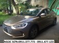 Hyundai Elantra 2017 - Cần bán xe Hyundai Elantra, màu nâu, trả góp 90% xe khuyến mãi 20 triệu, LH Ngọc Sơn: 0911.377.773