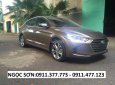 Hyundai Elantra 2017 - Cần bán xe Hyundai Elantra, màu nâu, trả góp 90% xe khuyến mãi 20 triệu, LH Ngọc Sơn: 0911.377.773