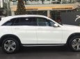 Mercedes-Benz GLC-Class   2.0 AT  2018 - Bán ô tô Mercedes 2.0 AT đời 2018, màu trắng, nhập khẩu nguyên chiếc