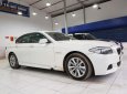 BMW 5 Series 520i 2013 - Bán ô tô BMW 5 Series 520i đời 2013, màu trắng, nhập khẩu nguyên chiếc