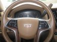 Cadillac Escalade Esv Platium 2016 - Bán Cadillac Escalade ESV Platium 2016 xe mới