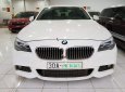 BMW 5 Series 520i 2013 - Bán ô tô BMW 5 Series 520i đời 2013, màu trắng, nhập khẩu nguyên chiếc