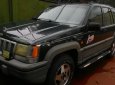 Jeep Grand Cheroke 1994 - Bán ô tô Jeep Grand Cheroke 1994, xe nhập, giá chỉ 165 triệu