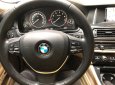 BMW 5 Series 520i 2015 - Cần bán xe BMW 5 Series 520i sản xuất 2015, màu đen, nhập khẩu