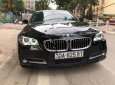 BMW 5 Series 520i 2015 - Bán BMW 5 Series 520i 2015, màu đen, nhập khẩu nguyên chiếc