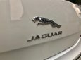 Jaguar XJ 2.0 2014 - Chính chủ bán xe Jaguar XJ 2.0 đời 2014, màu trắng, xe nhập