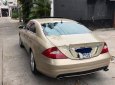 Mercedes-Benz CLS class CLS 500 2004 - Cần bán gấp Mercedes CLS 500 đời 2004, xe nhập