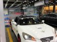 Hyundai Genesis   2009 - Bán Hyundai Genesis năm 2009, màu trắng, nhập khẩu