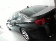 BMW 5 Series 523i 2010 - Cần bán lại xe BMW 5 Series 523i đời 2010, màu đen, nhập khẩu ít sử dụng