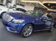 Mercedes-Benz C class C250 2018 - Cần bán Mercedes C250 đời 2018, xe nhập