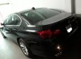 BMW 5 Series 523i 2010 - Cần bán lại xe BMW 5 Series 523i đời 2010, màu đen, nhập khẩu ít sử dụng