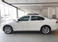 Volkswagen Passat 2017 - Cần bán Volkswagen Passat đời 2017, màu trắng, nhập khẩu nguyên chiếc