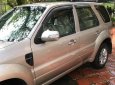 Ford Escape 2012 - Bán xe Ford Escape đời 2012, màu bạc chính chủ, 460tr
