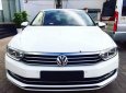 Volkswagen Passat 2017 - Cần bán Volkswagen Passat đời 2017, màu trắng, nhập khẩu nguyên chiếc