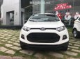 Ford EcoSport 2017 - Bán xe Ford EcoSport đời 2017, màu trắng, nhập khẩu, 650tr