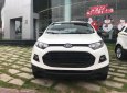 Ford EcoSport 2017 - Bán xe Ford EcoSport đời 2017, màu trắng, nhập khẩu, 650tr