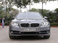 BMW 5 Series 520i 2014 - Bán BMW 5 Series 520i đời 2014, xe nhập chính chủ