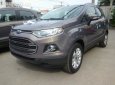 Ford EcoSport 2018 - Bán Ford EcoSport đời 2018, nhập khẩu chính hãng, giá 648tr