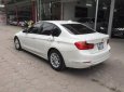 BMW 3 Series 320i 2013 - Bán ô tô BMW 3 Series 320i đời 2013, màu trắng, xe nhập