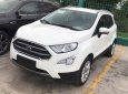 Ford EcoSport 1.0 Ecoboost 2018 - Ford Ecosport 1.0 đời 2018 hoàn toàn mới, động cơ tăng áp Ecoboost-Trả trước 140tr LH 093 1234768