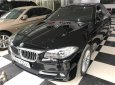 BMW 5 Series 520i 2015 - Bán BMW 5 Series 520i đời 2015, màu đen, xe nhập