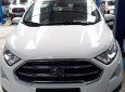 Ford EcoSport 2018 - Cần bán xe Ford EcoSport 2018, màu trắng, nhập khẩu chính hãng, 664tr