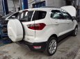 Ford EcoSport 2018 - Cần bán xe Ford EcoSport 2018, màu trắng, nhập khẩu chính hãng, 664tr