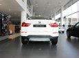 BMW X4 xDrive 20i 2017 - Bán BMW X4 xDrive 20i đời 2017, màu trắng, nhập khẩu