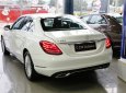 Mercedes-Benz C class  C250 Exclusive 2018 - Bán xe Mercedes C250 Exclusive, giá tốt nhất toàn quốc, có xe giao ngay