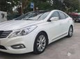 Hyundai Azera 2013 - Bán Hyundai Azera đời 2013, màu trắng, nhập khẩu, giá chỉ 850 triệu