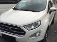 Ford EcoSport Titanium 2018 - Cần bán xe Ford EcoSport Titanium đời 2018, giá chỉ 600 triệu