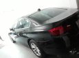 BMW 5 Series 523i 2010 - Cần bán lại xe BMW 5 Series 523i đời 2010, chính chủ