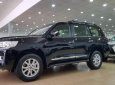 Toyota Land Cruiser VX 4.6 V8 2018 - Bán Toyota Land Cruiser VX 4.6 V8 đời 2018, màu đen, nhập khẩu nguyên chiếc