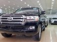 Toyota Land Cruiser VX 4.6 V8 2018 - Bán Toyota Land Cruiser VX 4.6 V8 đời 2018, màu đen, nhập khẩu nguyên chiếc