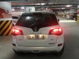 Renault Koleos   2.5 AT  2014 - Bán Renault Koleos 2.5 AT đời 2014, xe nhập chính chủ, 950tr