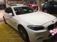 BMW 5 Series 523i 2011 - Cần bán xe BMW 5 Series 523i đời 2011, màu trắng, nhập khẩu nguyên chiếc