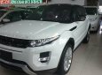 LandRover Evoque 2014 - Bán LandRover Evoque đời 2014, màu trắng, nhập khẩu chính hãng