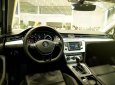 Volkswagen Passat Bluemotion 2017 - (ĐẠT DAVID) bán Volkswagen Passat Bluemotion 2017, màu xám, nhập khẩu chính hãng. LH 0933.365.188