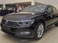 Volkswagen Passat Bluemotion 2017 - (ĐẠT DAVID) Bán Volkswagen Passat Bluemotion 2017, màu xanh đen, nhập khẩu chính hãng. LH 0933.365.188