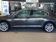 Volkswagen Passat Bluemotion 2017 - (ĐẠT DAVID) Bán Volkswagen Passat Bluemotion 2017, màu nâu, nhập khẩu chính hãng LH 0933.365.188