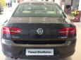 Volkswagen Passat Bluemotion 2017 - (ĐẠT DAVID) Bán Volkswagen Passat Bluemotion 2017, màu nâu, nhập khẩu chính hãng LH 0933.365.188