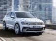 Volkswagen Tiguan   2018 - (ĐẠT DAVID) Bán Volkswagen Tiguan Allspace 2018, đủ màu, nhập khẩu chính hãng LH 0933.365.188